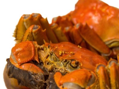 兴化大闸蟹 花雕熟醉蟹 醉蟹 2母*4/盒图5