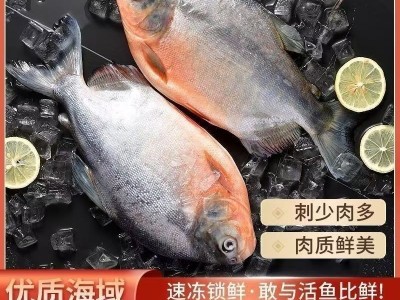 红鲳鱼 整条红鲳鱼 鲜味十足 新鲜 无冰衣 冰鲜冷冻鲳鱼新鲜大号图4