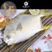 新鲜金鲳鱼无冰鲜活速冻海捕二去金鲳鱼特大号湛江金鲳鱼海鲜批发