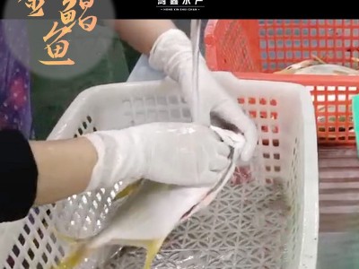 新鲜金鲳鱼无冰鲜活速冻海捕二去金鲳鱼特大号湛江金鲳鱼海鲜批发图3