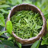 唐风融茶香新至西安品茶工作室邀你共尝春茶第一鲜