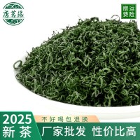 绿茶2025新茶浓香散装茶叶袋装产地批发耐泡明前茶