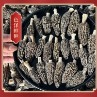 四川金堂县羊肚菌干货批发多规格抖音拼多多代发营养煲汤菌菇菌子