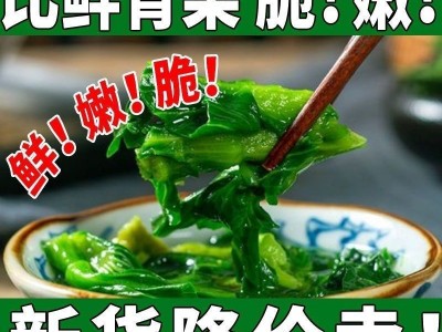 新净重5g万年青菜干脱水蔬菜橄榄菜干菜脱水菜心油菜干图4