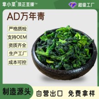 新净重5g万年青菜干脱水蔬菜橄榄菜干菜脱水菜心油菜干