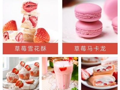 FD冻干草莓粉烘焙专用散装 食品级饮料冲剂冰淇淋蛋糕草莓粉加工图2