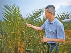 中外热带农业科技合作结硕果