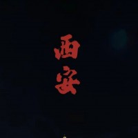 三步玩转西安品茶海选工作室老茶客私藏大选攻略新手也能变行家