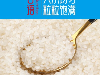 东北大米十斤双层真空包装新米大米砖福利五谷杂粮厂家批发杂粮图3