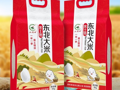 东北大米十斤双层真空包装新米大米砖福利五谷杂粮厂家批发杂粮图2