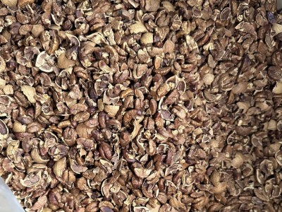 好好剥山核桃 山核桃仁 破壳仁批发大量图2