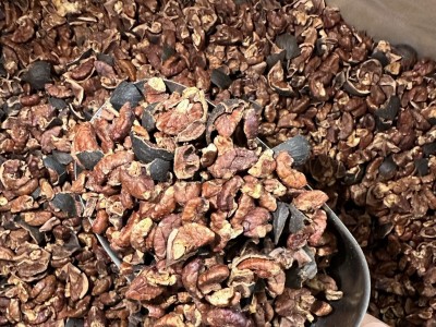 好好剥山核桃 山核桃仁 破壳仁批发大量图3