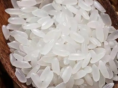 五常香米东北当季新米长粒香颗粒饱满入口滑软正宗东北大米批发图2