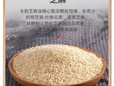 白芝麻油20升厂家定制小磨香油调味油商用批发贴牌打样出口跨境图2