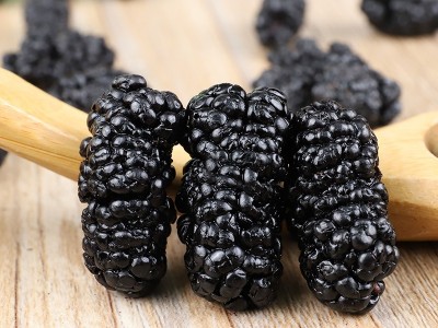 代发黑桑葚干新货散装无沙250g 农产品果茶桑葚茶泡水黑桑葚果干图3