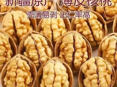 新货阿克苏185纸皮核桃大量批发代发500g 手剥大个薄皮原味生核桃图4