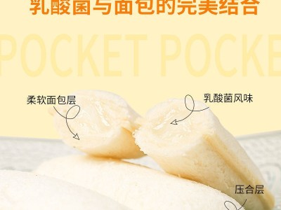 乳酸菌小口袋面包充饥懒人蛋糕夹心面包邮整箱网红早餐休闲小零食图3