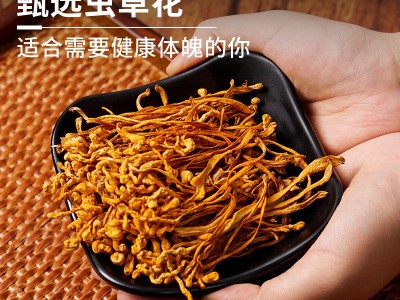 散装 虫草花 原料批发 干货食用菌菇包汤料 散装虫草花源头工厂图3