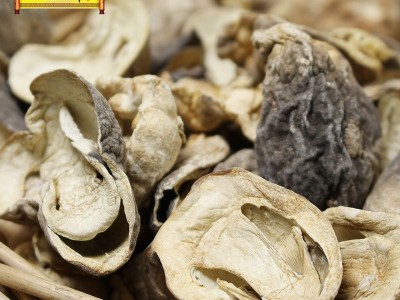 散装草菇草菇菌兰花菇味道鲜美新鲜食用菌菇干货批发可代加工图2