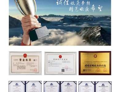 皇冠世家曲奇饼干红铁罐包装黄油休闲小零食品新春年货送人礼批发图4