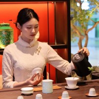 成都品茶喝茶推荐：这份成都品茶工作室攻略，在茶香中解锁慢时光