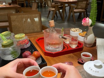 成都品茶喝茶推荐：这份成都品茶工作室攻略，在茶香中解锁慢时光图3