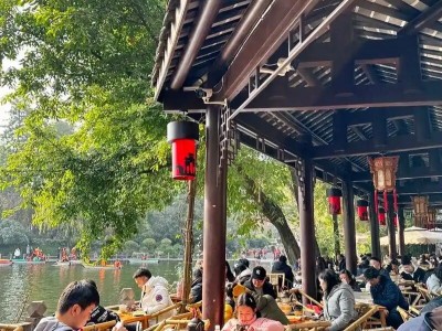 必点成都品茶喝茶攻略：深入成都品茶工作室在喧嚣中寻一处静谧图2