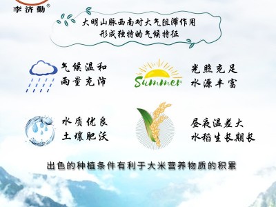 香软丝苗米5kg长粒香大米10斤一袋新鲜南方籼米家用餐饮大米批发图4