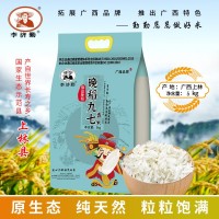 香软丝苗米5kg长粒香大米10斤一袋新鲜南方籼米家用餐饮大米批发