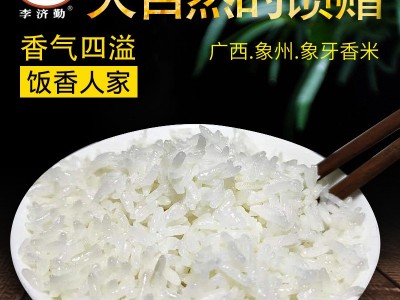 新大米50斤一袋象州象牙香米软糯长粒香大米散装优质籼米厂家批发图2