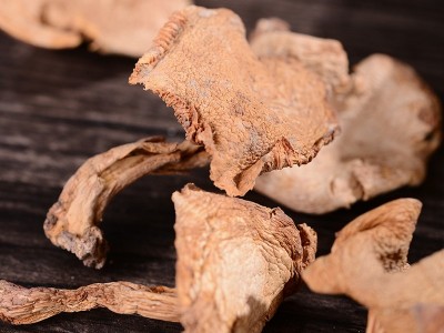 云南原产地野生鸡油菌干货炖汤煲养生汤菌汤食材鸡油菌批发500g图4