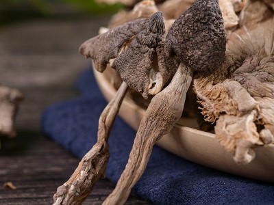 云南鸡枞菌干货炒菜食用菌菇鸡枞油炼制鸡枞菇500g厂家一件代发图2