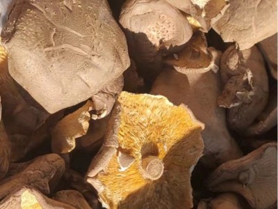 精品香菇干货西峡产地工厂直销精选大片香菇大厚菇实力工厂图2