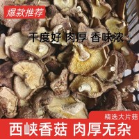 精品香菇干货西峡产地工厂直销精选大片香菇大厚菇实力工厂
