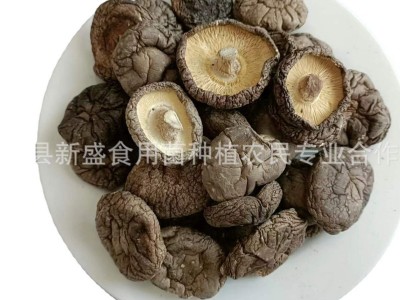 精品香菇干货西峡产地工厂直销精选大片香菇大厚菇实力工厂图4