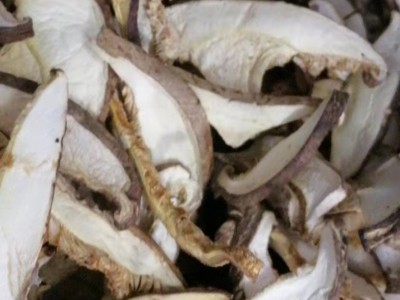 干货香菇片 香菇条 香菇丝真空包装香菇切片 各种规格工厂直销图3