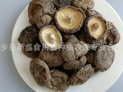 河南春栽香菇 冬菇 平脚肉厚干净 烘干处理 源头产地实力工厂图3