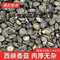 河南春栽香菇 冬菇 平脚肉厚干净 烘干处理 源头产地实力工厂