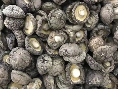 河南春栽香菇 冬菇 平脚肉厚干净 烘干处理 源头产地实力工厂图4