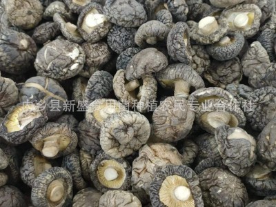 新货香菇干货特产级A级光面菇 河南特产香味浓郁肉厚无根图3