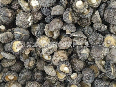 新货香菇干货特产级A级光面菇 河南特产香味浓郁肉厚无根图4