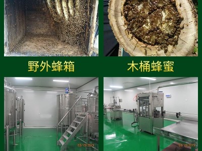 洋槐蜜原蜜蜂场自产农产品500g1斤装 一件代发图4