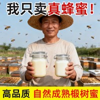 椴树蜂蜜500g结晶猪油蜜雪蜜一斤源头厂家一件代发椴树蜜原蜜批发