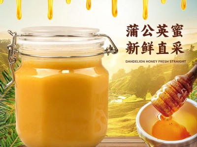 蒲公英蜂蜜500g结晶蜂蜜源头厂家一件代发蒲公英结晶蜜原蜜批发图2