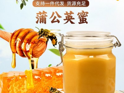 蒲公英蜂蜜500g结晶蜂蜜源头厂家一件代发蒲公英结晶蜜原蜜批发图4