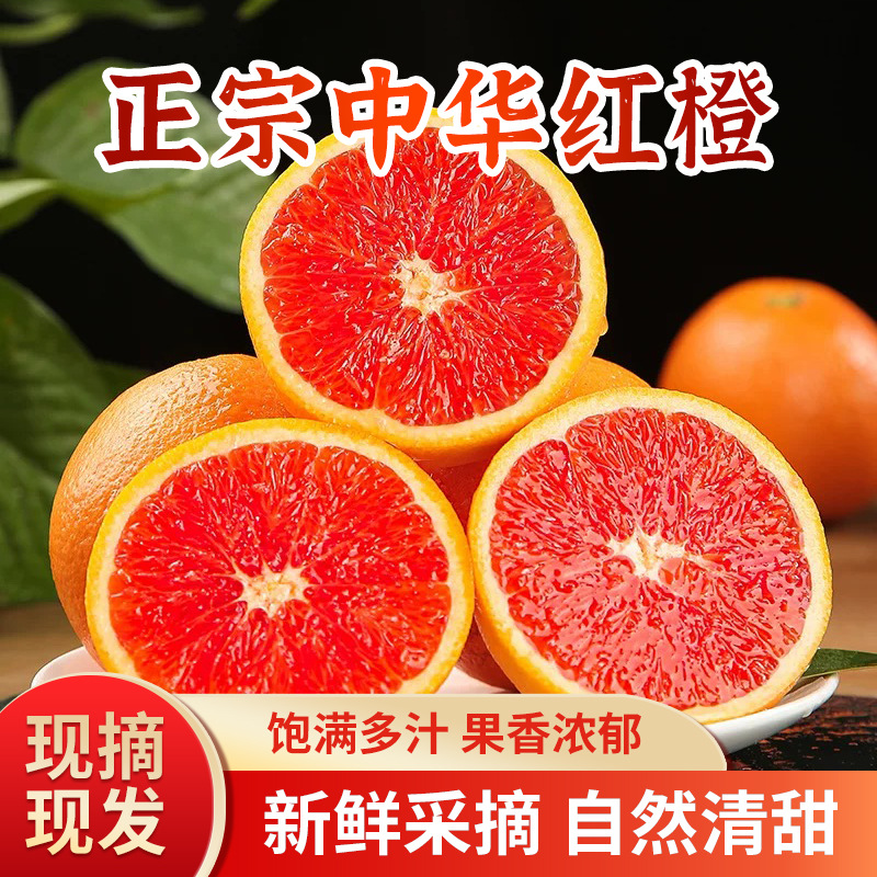 O1CN0105o74U23umjT5rdxQ_!!2214657247316-0-cib