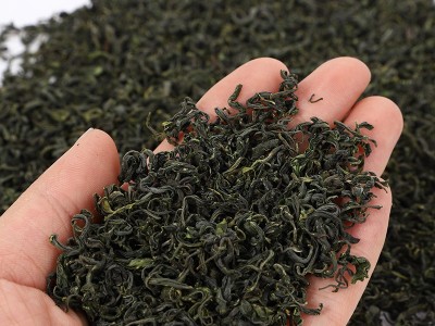 明前2025新茶香茶浙江省高山云雾爆香白头绿茶耐泡批发春茶绿茶叶图2