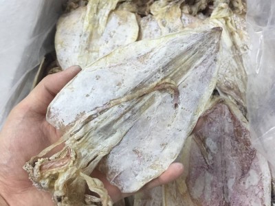 广州畅销全规格手撕烧烤干鱿鱼一手货源海味干货批发淡干鱿鱼干图4