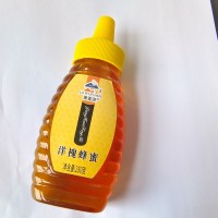 聚蜜源好货洋槐蜂蜜250g瓶500克/瓶装两款天然洋槐蜜槐花便携包装