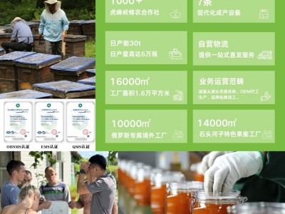 虎峰岭俄罗斯蜂蜜批发椴树蜜1000r卡扣瓶量大现货OEM定制批发图2
